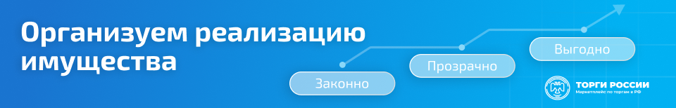 Баннер внутри лота_Организуем реализацию имущества